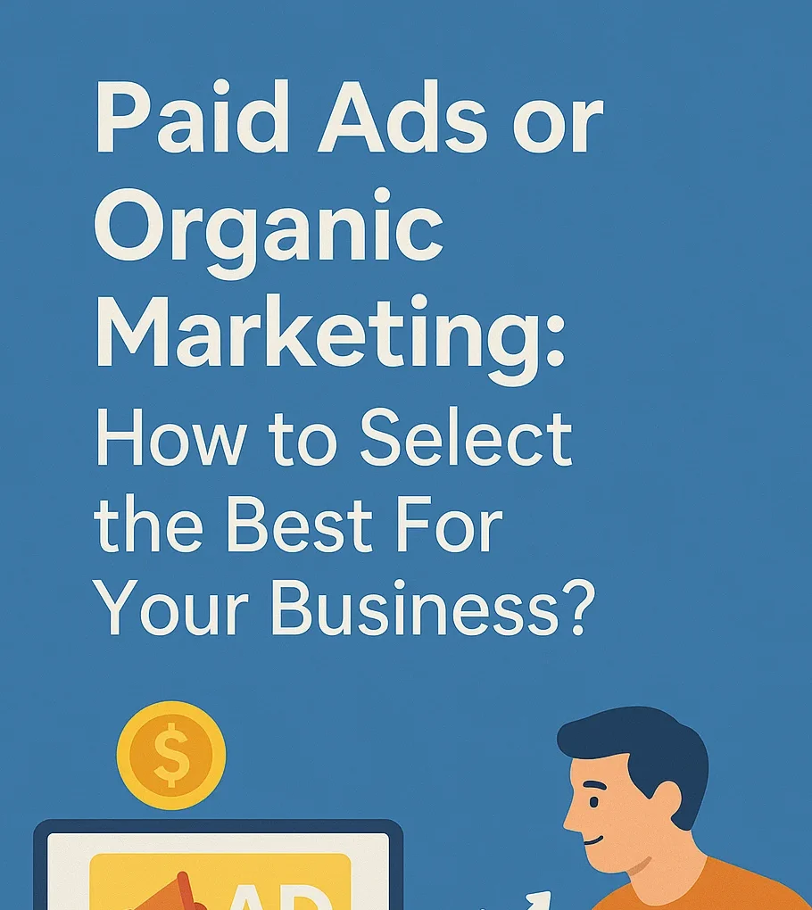 Paid Ads & Organic Marketing